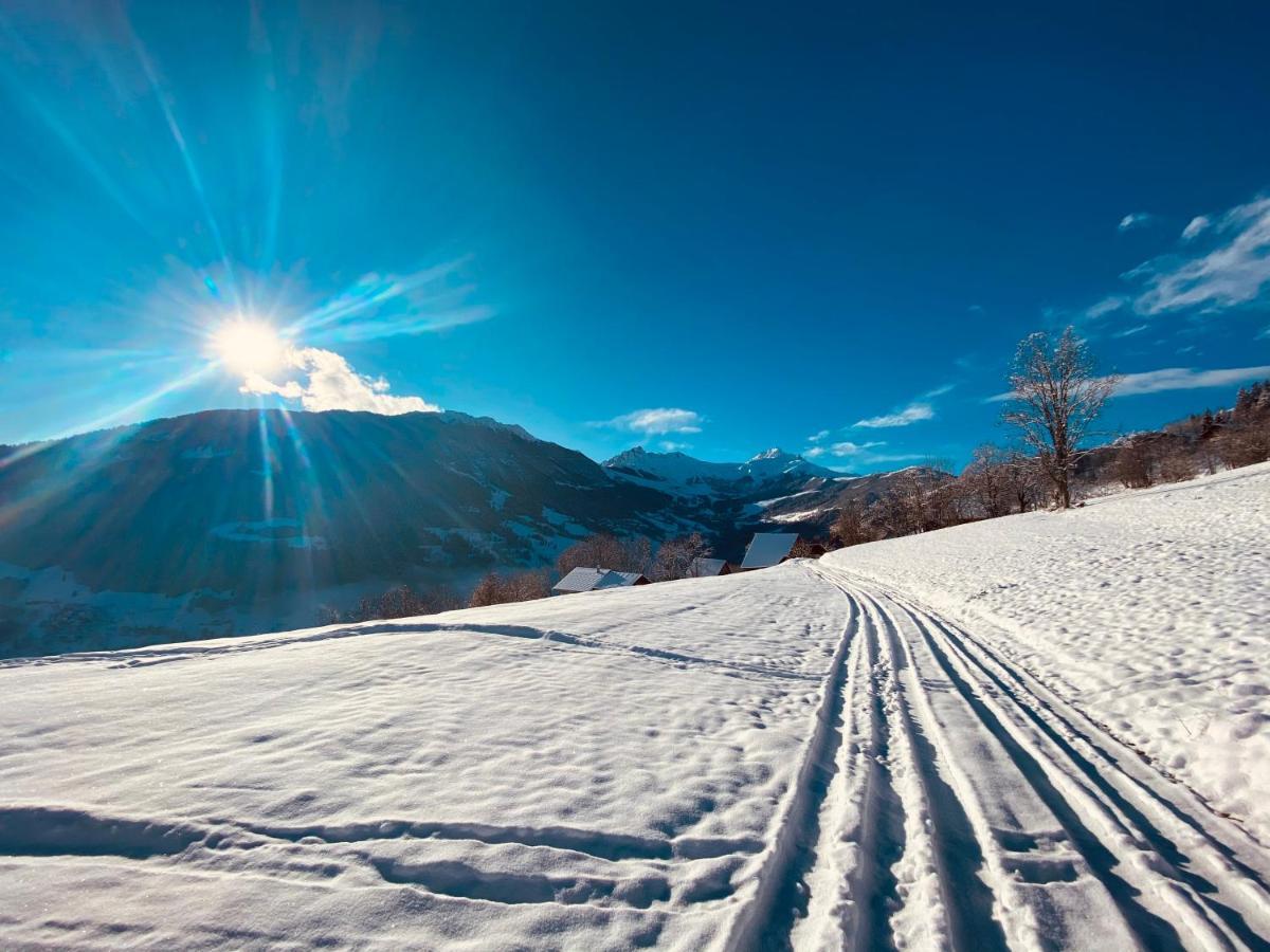 Chalet Confidentiel Valmorel - Chalet De Haut De Gamme 4 Etoiles 12 Personnes Doucy Экстерьер фото