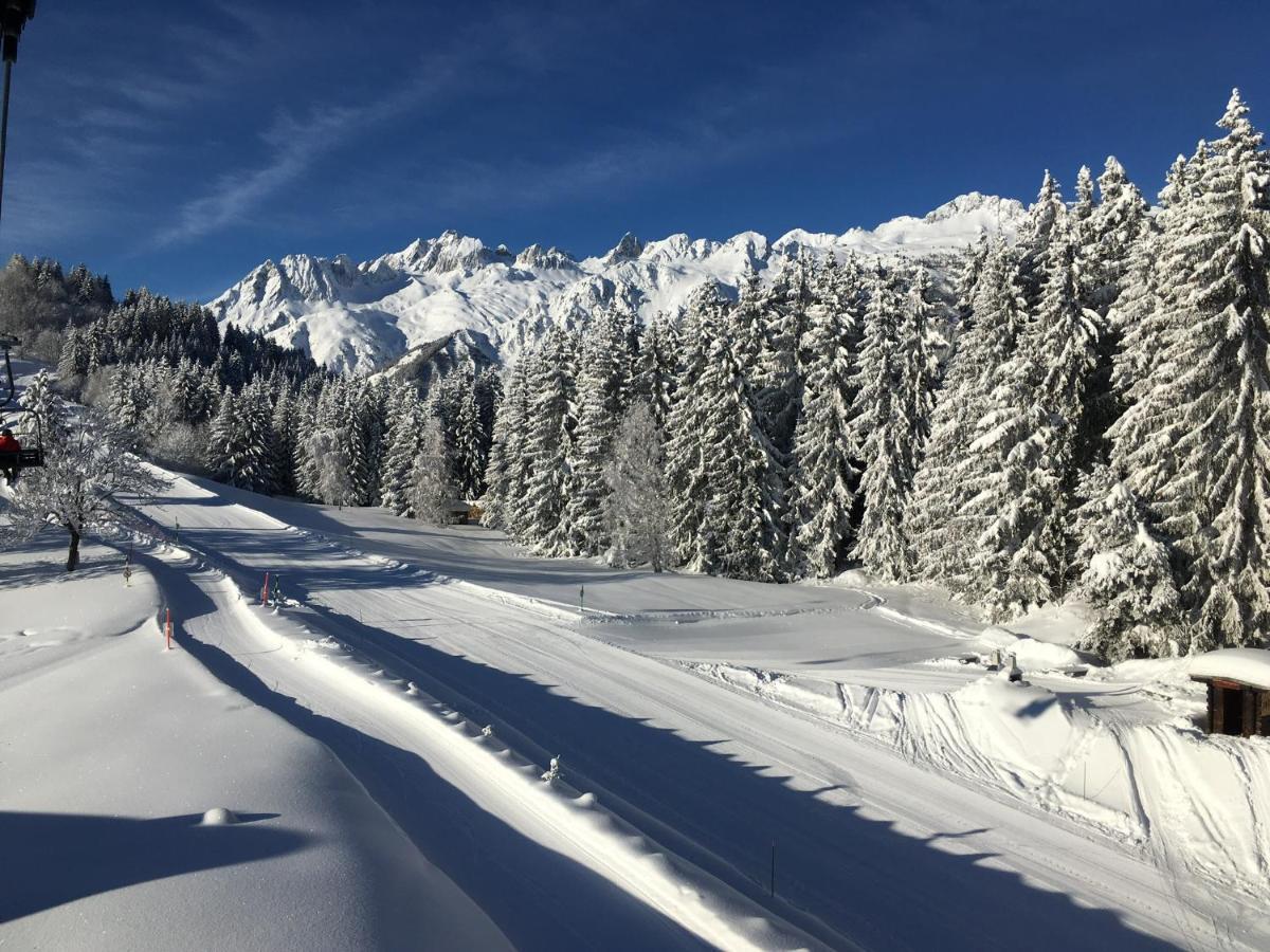 Chalet Confidentiel Valmorel - Chalet De Haut De Gamme 4 Etoiles 12 Personnes Doucy Экстерьер фото