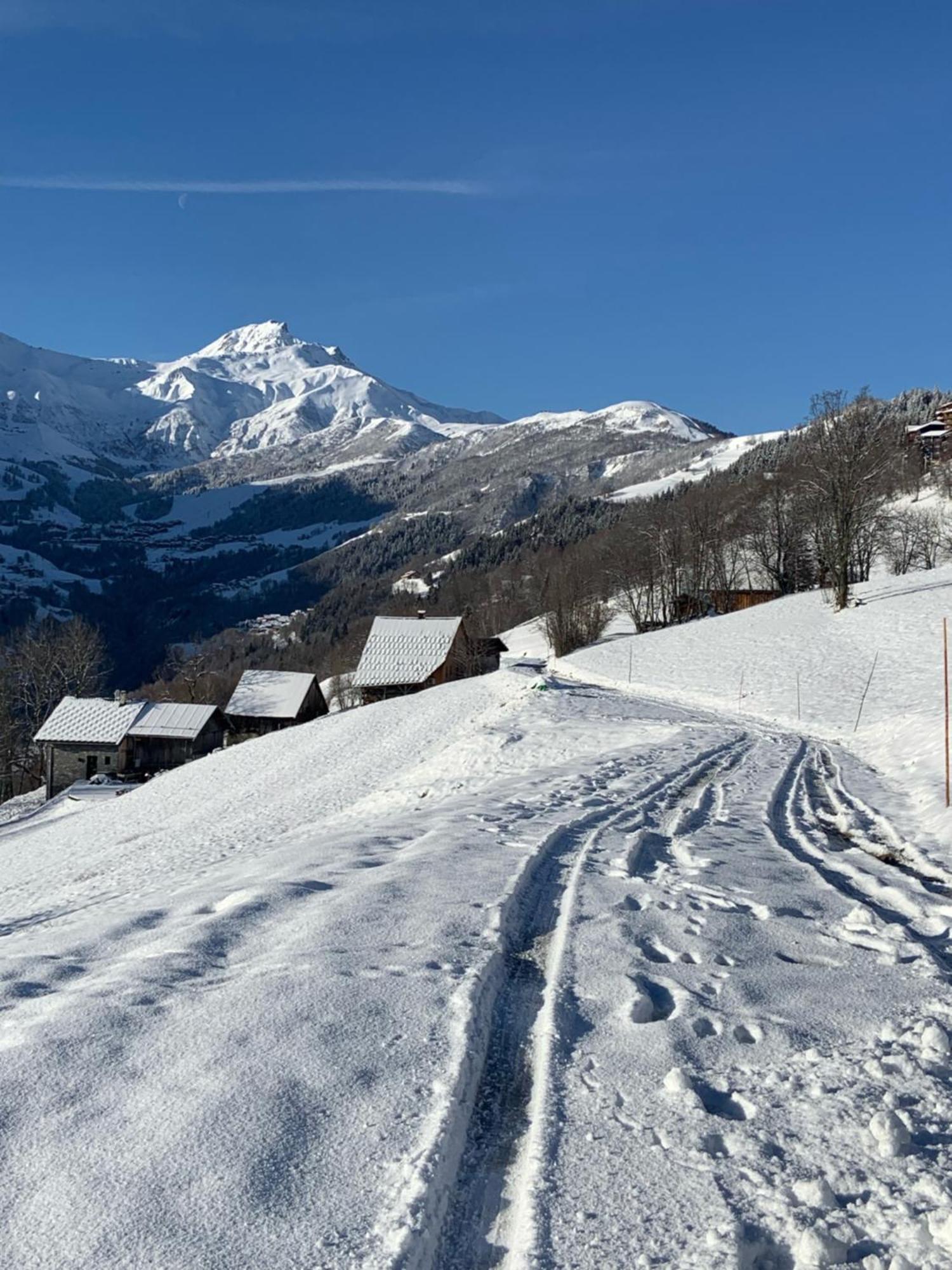 Chalet Confidentiel Valmorel - Chalet De Haut De Gamme 4 Etoiles 12 Personnes Doucy Экстерьер фото