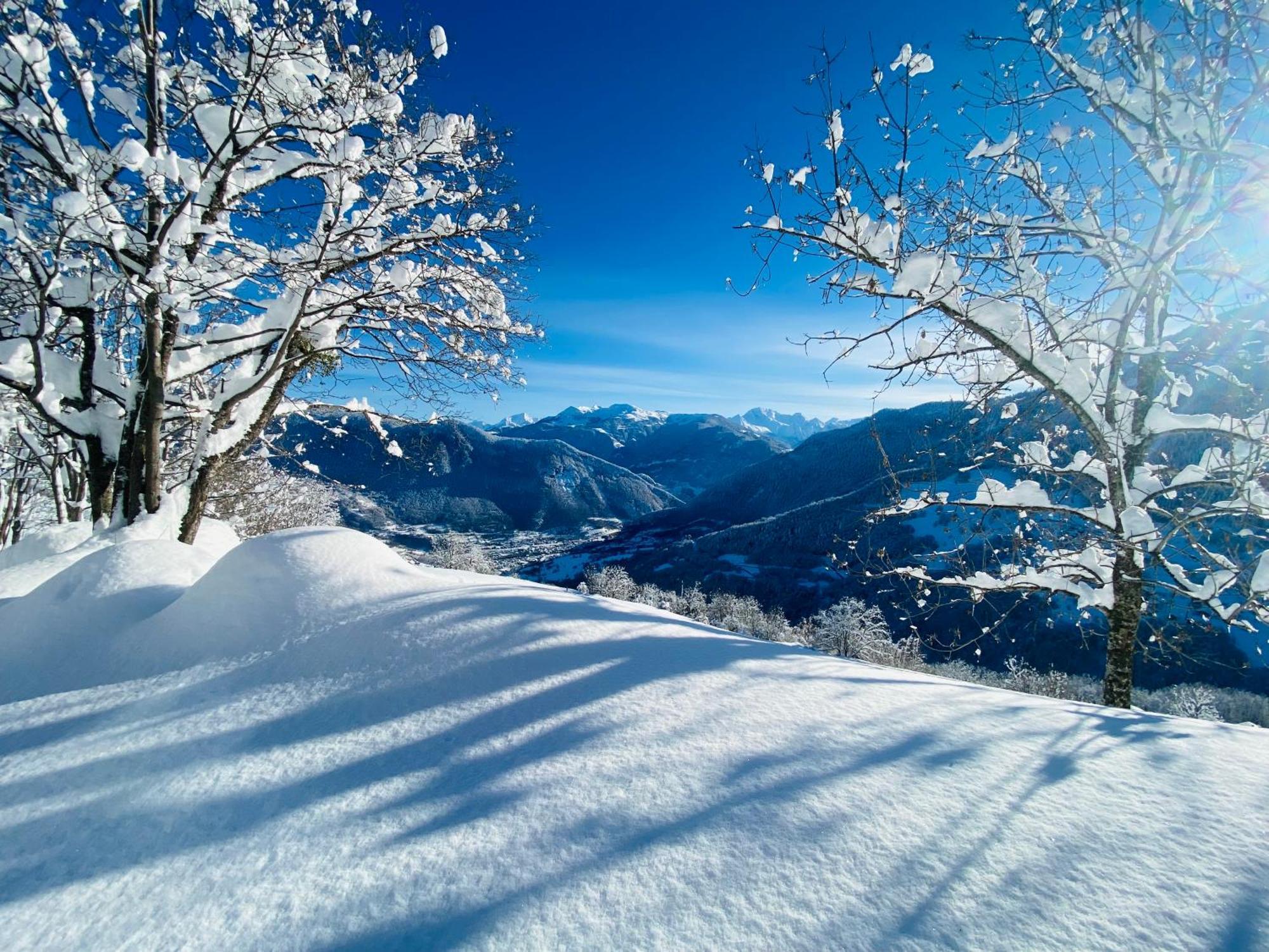 Chalet Confidentiel Valmorel - Chalet De Haut De Gamme 4 Etoiles 12 Personnes Doucy Экстерьер фото